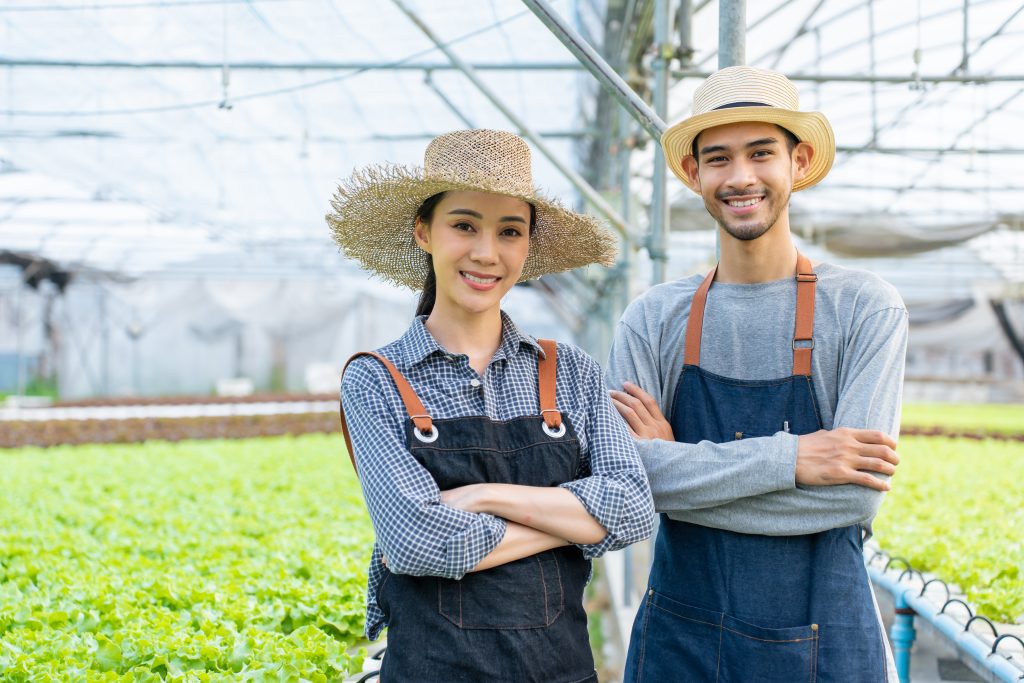 actividades-auxiliares-agricolas